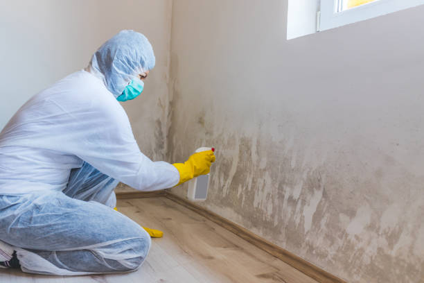 Licensed Commercial Mold Remediation service in Huntington, NY - WQB Mold Removal