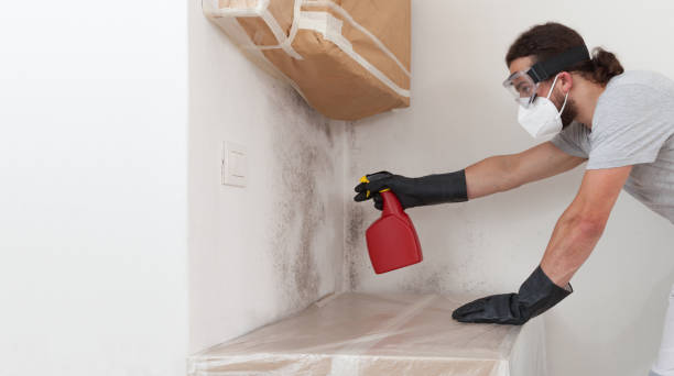 Professional Commercial Mold Remediation technician working in Huntington, NY