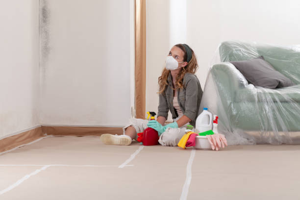 Reliable Commercial Mold Remediation contractor in Huntington, NY by WQB Mold Removal